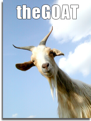 Share more than 123 goat hairstyle meme - camera.edu.vn